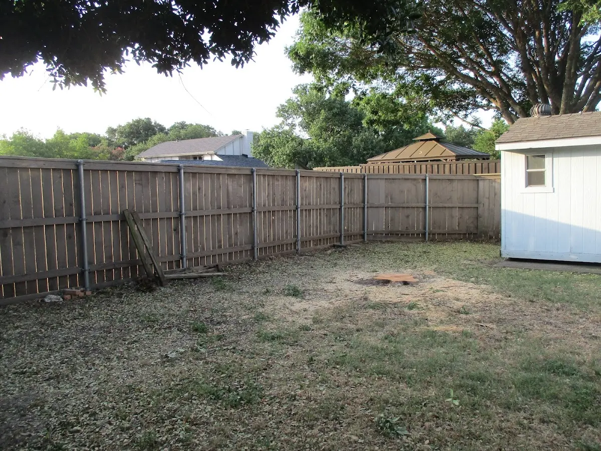 Cleared yard after professional tree removal in Havana